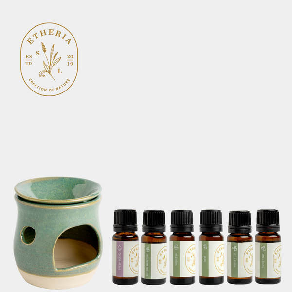 מארז שמנים אתריים ארומתיים, טהורים ואיכותיים, המארז כולל שמן לבנדר בולגרי, לבנדר צרפתי, שמן אורן סקוטי, שמן לבונה, שמן אקליפטוס גלובולוס, תרכובת שמנים אתריים, עשויה שמנים אתריים הורים בלבד - פרש לנד ומבער שמנים אתריים בעבודת יד